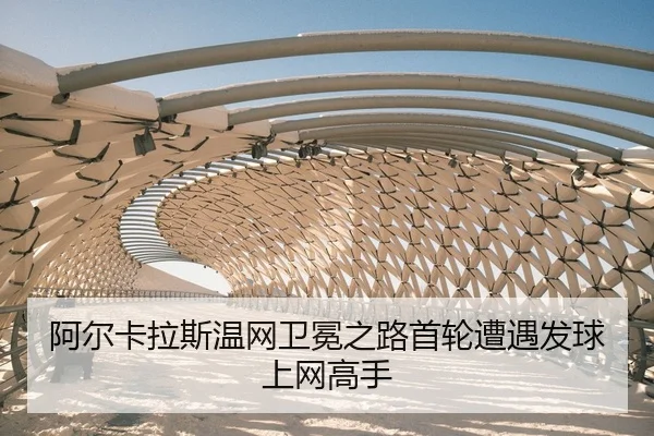 a-er-ka-la-si-wen-wang-wei-mian-zhi-lu-shou-lun-zao-yu-fa-qiu-shang-wang-gao-shou-2-552.jpg