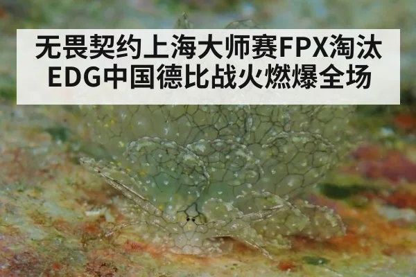 无畏契约上海大师赛FPX淘汰EDG中国德比战火燃爆全场